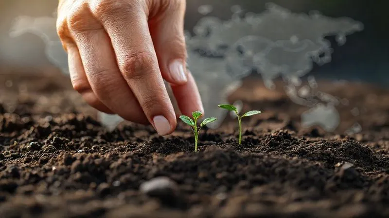 A photorealistic image of a hand carefully planting a small seed in rich soil, with a blurred map of the world in the background and subtle digital growth charts emanating from the soil, cinematic lighting, sharp focus on the hand and seed, depth of field, 8K hyper-detailed, shot on a high-end DSLR.